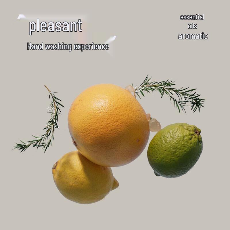 TuoQu Antibacterial Foam Hand Wash