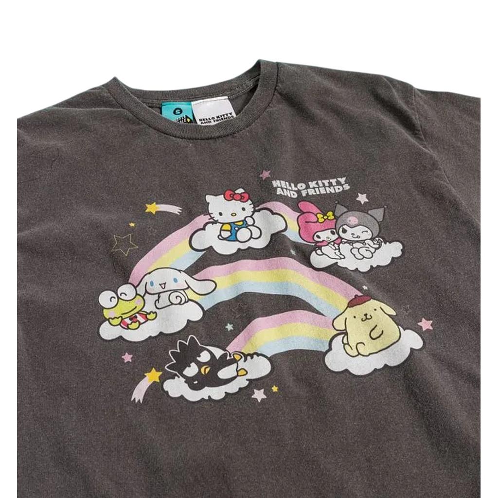 Sanrio Unisex Adult Friends Vintage Wash T-Shirt