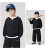 Beiteng Boys' Korean Style Two-Piece Look Hoodie - Autumn Casual Kids' Top