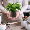 Nursery Pots For Plants 10-Piece With 10 Trays Transparent Flower Pots Hydroponic Planting Cup For Indoor Outdoor Garden Balcony