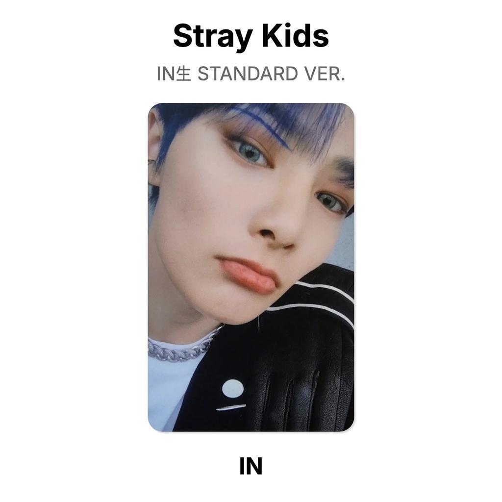 Stray Kids IN STANDARDVERSION. Offizielle Fotokarte