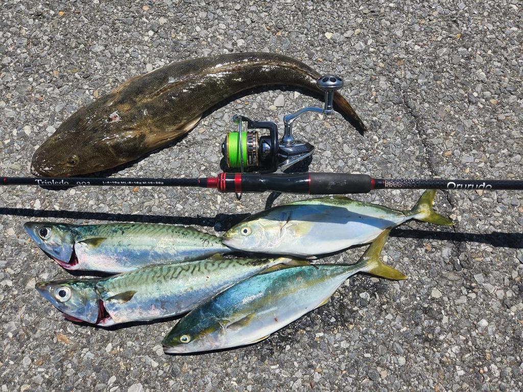 Orrudo Fishing Gear Lure Rod Revolution This One Covers 3 Types of Actions L ML Sea LSJ Qb300106a01n0 "Triple 2.7m" M, Egging, Chinning, Bass,