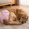 Waschbare Hündinnenwindeln Atmungsaktive Physiologische Hundehosen Hundewäsche Anti-Deckung