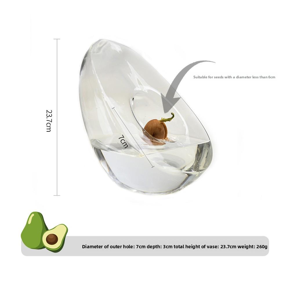 

Avocado Shaped Hydroponics Home Vase Home Decor Glass Seed Planting Cultivation Container Table Decoration and Accessories Vases