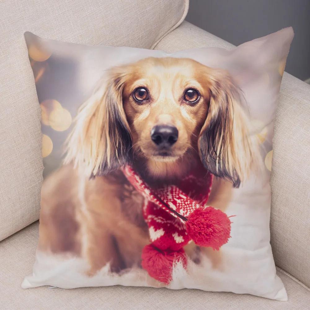 Mini Dackel Hund Kissenbezug Dekor Haustier Tier Kissenbezüge Superweicher Plüsch Kissenbezug für Sofa Zuhause Kinderzimmer 45x45cm