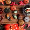 16 Pcs Artificial Velvet Pumpkins Small Foam Faux Flocked Pumpkin Tabletop Centerpiece for Fall Thanksgiving Halloween Harvest Home Table Decor
