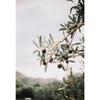 Italy Sicily Mediterranean Coast Posters Modern Landscape Posters and Prints Canvas Painting Decor Living Room Home Decoration