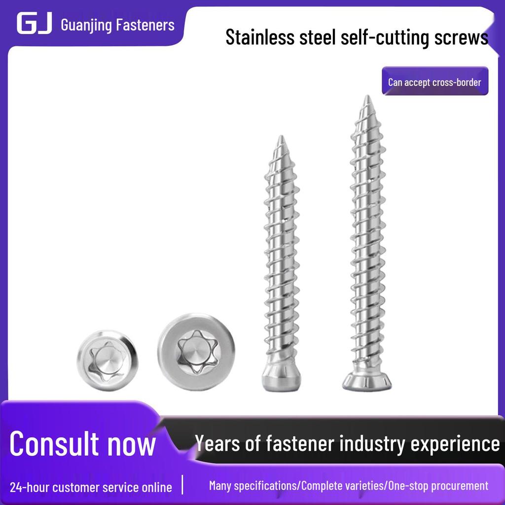 German Style Torx Drive Stainless Steel Self-Cutting and Self-Tapping Screws for Concrete, Doors, and Windows