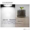 Audiofan Spotlight Cabinet Light 12V Downlight 6000K White 240 LM Ceiling Fixture T4 T5 Suitable for Campervans (Set of 6)