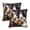 Guinea Pigs 2 Pcs Square Pillowcase Pillow Cover Cushion Zip Decorative Comfort Throw Pillow For Home Bedroom
