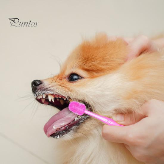 Haustier-Zahnbürste, superweich, sanft, für Katzen, komfortable 360-Grad-Mundreinigungsbürste für Hunde, Heimtierbedarf