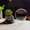 Split type Spherical Micro Landscape Vase Containers Desktop Glass Vase Green Moss Bansai Landscape Glass Terrarium Home Decor