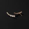 2025 New S925 Silver Needle Women's High-End Niche Design Earrings