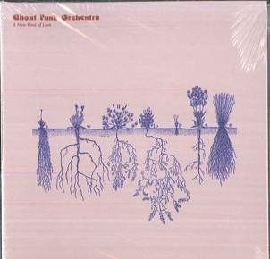 CD GHOST FUNK ORCHESTRA - A New Kind Of Love KCR12023 Karma Chief Rec 2022 US Rock