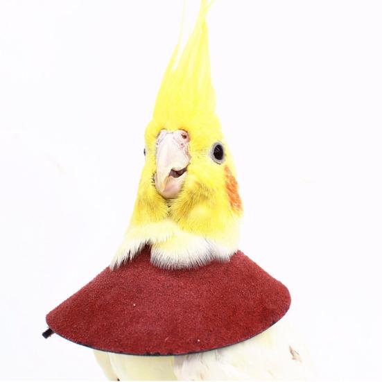 Регулируемый ошейник для восстановления попугая, защита от укусов и травм, фиксирующая лента, ошейник для птиц, аксессуар для домашних птиц