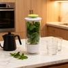 Herb Keeper Jar Refrigerator Herb Saver Storage Jar with Ventilation Slots And Drainage Holes Cilantro Saver Extend Freshness Gift for Enthusiasts