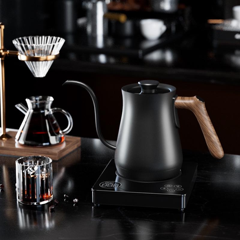 0.8L Gooseneck Kettle with Long Spout, Touch Screen Temp Control, 304 Stainless Steel Electric Kettle for Coffee & Tea Brewing