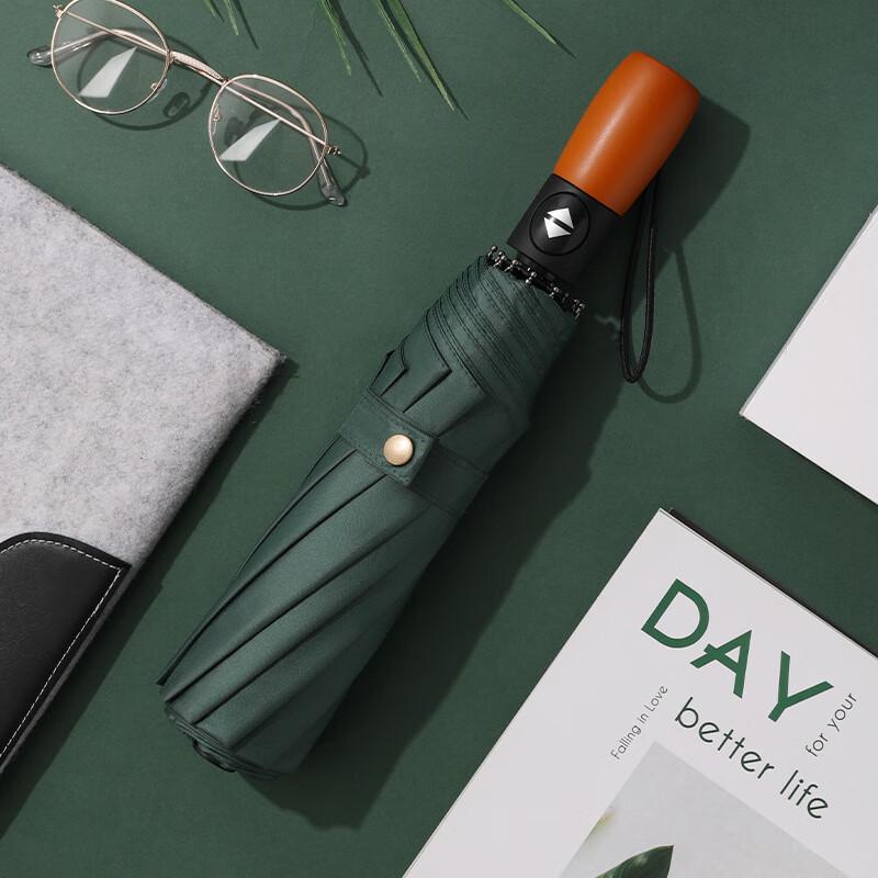 Qing Ruo Xi Automatic Wooden Handle Umbrella