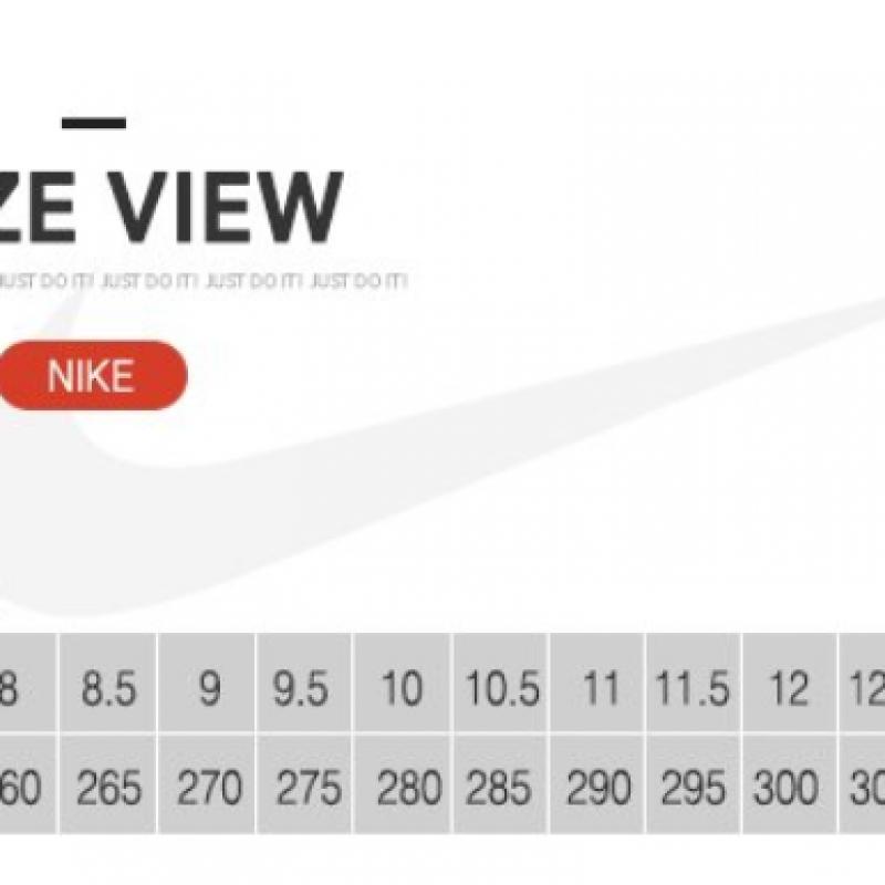 Nike Evernon Low Sneaker Aq1775 100