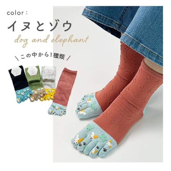 Stream Market Women's 5-Toe Crew Socks, 4-Pair Set, Cute Animal Design, 5F-CLALV-D