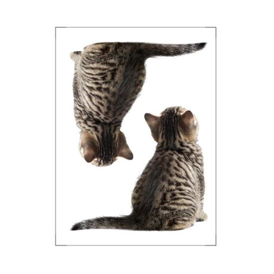 

Наклейка на выключатель с изображением кота и котенка, съемная самоклеящаяся водонепроницаемая ПВХ для гостиной, ванной комнаты, выключатель света, настенная розетка, украшение, наклейка Cat