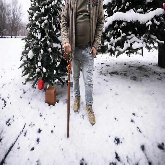 Vycházková hůl s rukojetí lva a gazely - Vycházková hůl pro muže a ženy - Nejlepší dárky na památku