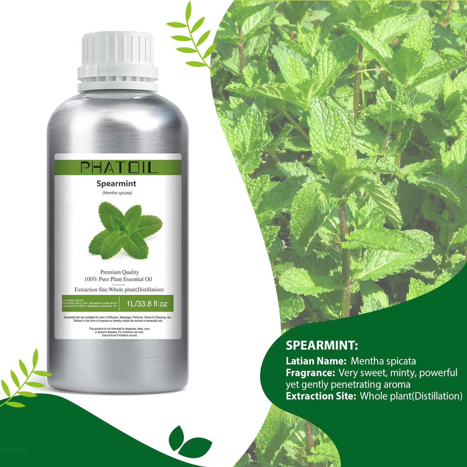 

PHATOIL 1000 мл эфирных масел, ванили, лаванды, розмарина, герани, 100% чистая природа для ароматерапии, диффузора, увлажнителя, массажа, парфюмерии своими руками. Spearmint