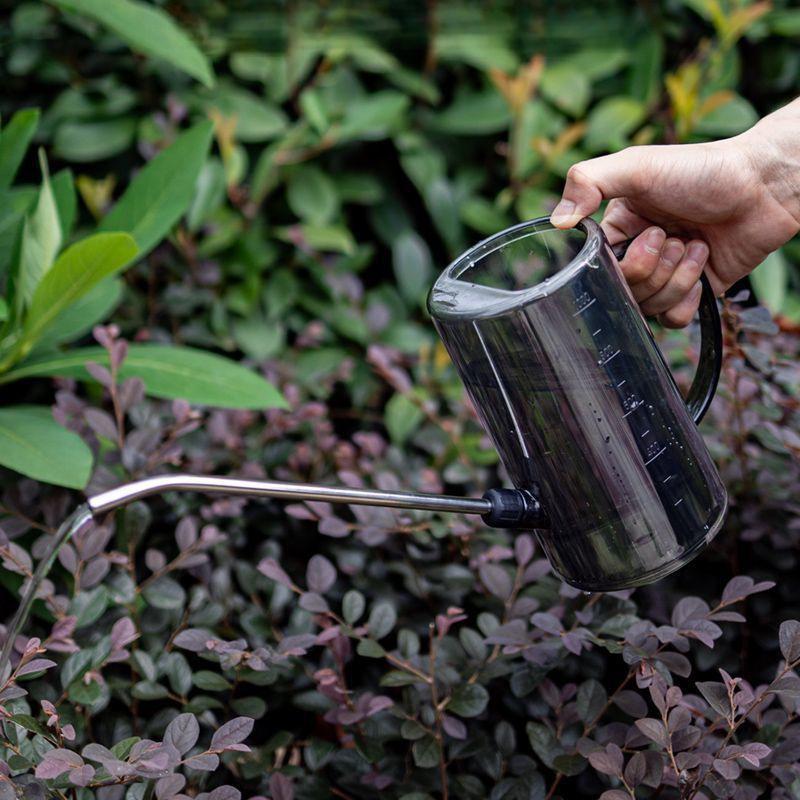 Stainless Steel Long Spout Watering Can for Indoor Pothos and Plant Care