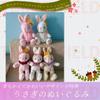 TOMMYFIELD Rabbit Plush Wedding Soft Present Toy, Gift, Doll, (White Rabbit) [Used]