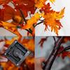 Dazzle Bright 2 Pack 24 Inch Lighted Thanksgiving Fall Maple Tree Decor, 24 LED Battery Operated Decorations Artificial Tree with Timer for Indoor