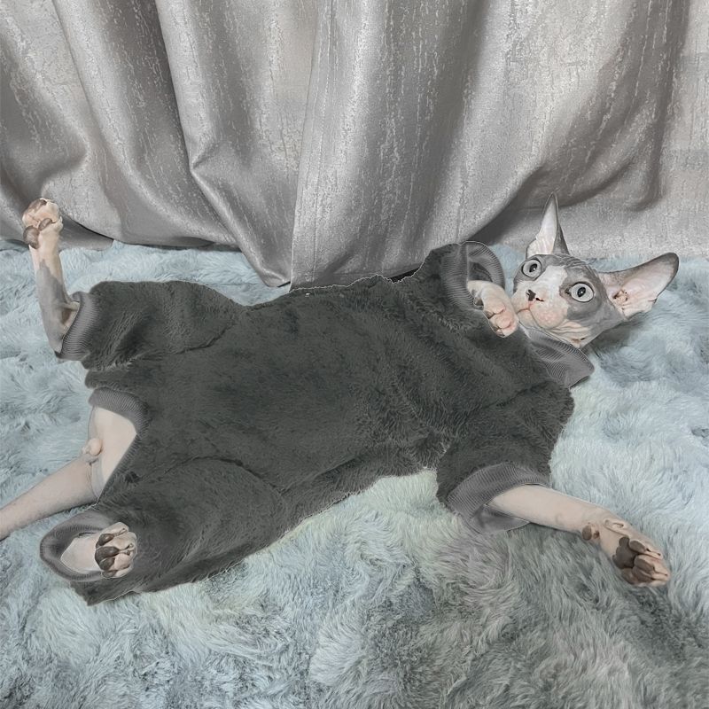 Luxury Warm Lamb Wool Turtleneck Sweater for Hairless Cats Winter Pet Costume Devon Sphynx Kittens Cute Gatitos Accessories