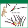 Lightweight Cat Toy Diy Homemade Cat Wand Replacement Head Pearl Feather Cat Wand Replacement Head Interactive Pet Toy