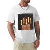 City and Colour Guide Me Back Home T-Shirt Weiches Basic Baumwolle Kurzarm Tee