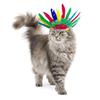 Halloween Dogs Costume   American Indian Outfit Pet Costume Cats Dogs Cosplay Costume Set  Pet  Wear