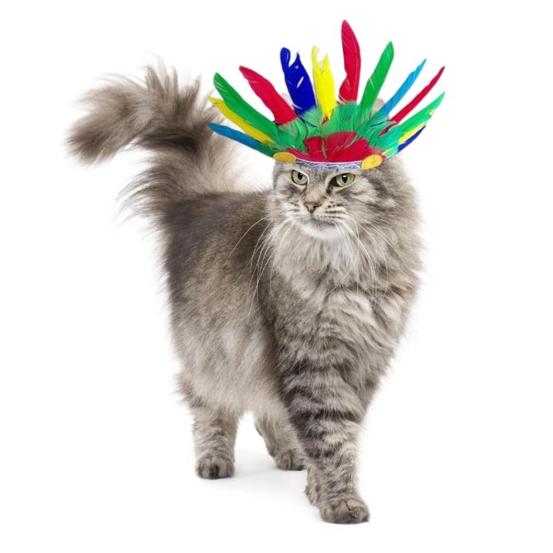 Halloween Dogs Costume American Indian Outfit Pet Costume Cats Dogs Cosplay Costume Set Pet Wear