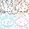 40g 3mm Glass Seed Beads Mixed Color Round Loose Spacer Glass Rice Beads For Jewelry Making DIY Bracelets Necklace Accessories