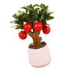 J0MC Artificial Simulation Fruit Branch Faux Miniature Fruit Stem Realistic Tree Branch Model for Office Desk Decors