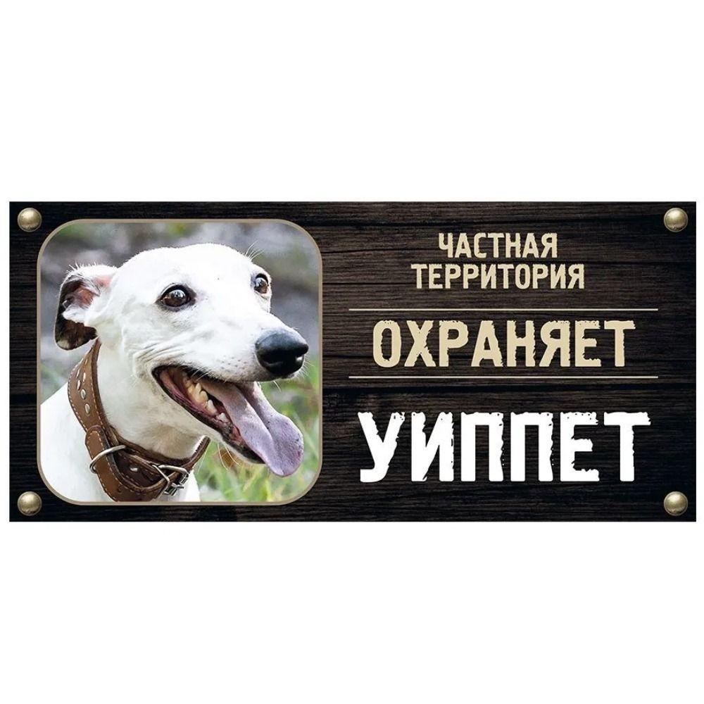 DORA Tin Sign Guard Dog Private Property Sign Metal House Number Plaque