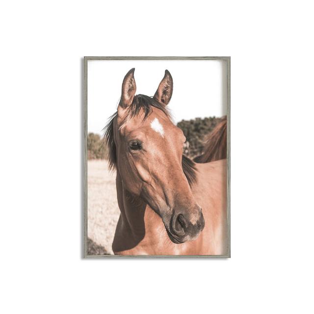 Horse Poster Print Modern Horses In The Field Wall Art HD Picture Canvas Painting Living Room Mural Home Decoration Gift Cuadros