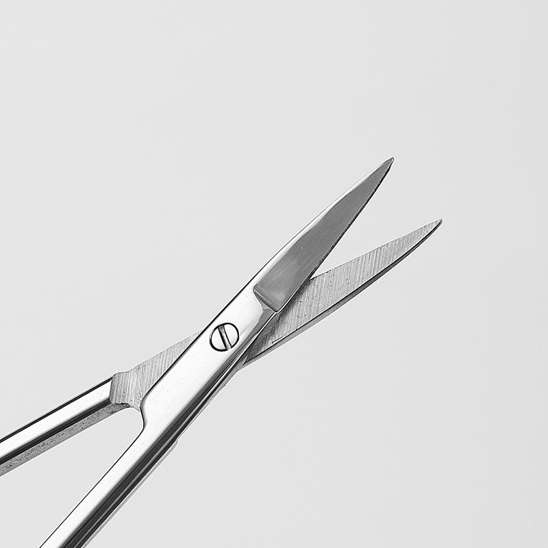 420 Stainless Steel Multi-Purpose Scissors: Large Curved, Straight, Round Tip for Surgical, Beauty, Nose Hair, Eyelid, and Teaching Use.