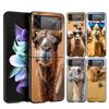 Hard PC Phone Case For Samsung Galaxy Z Flip 7 6 5 4 Black Cover For Galaxy Z Flip 3 Foldable Shockproof Capas Animal Camel Bags