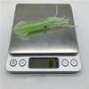 5 pièces/set Leurres Bioniques Calamar Appât Artificiel Pêche en Mer Accessoires de Pêche d'Extérieur Leurres de Pêche Pesca Mavllos