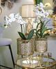 Vase Holderpiny Set 2 Pcs Cm Ø 16X20-13X20