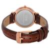 Daniel Wellington Classic Petite St. Mawes Watch DW00100231 Women's Brown