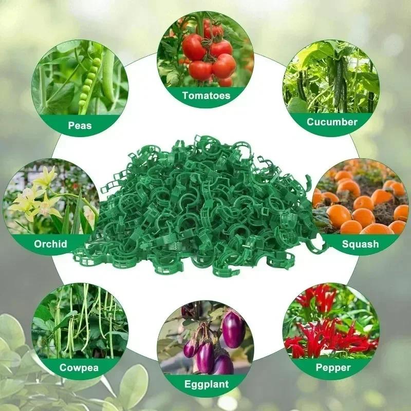 Reusable Plastic Plant Support Clips Garden Vine Strapping Fixing Clip for Climbing Tomato Grape Vegetables Stalk Holders Buckle