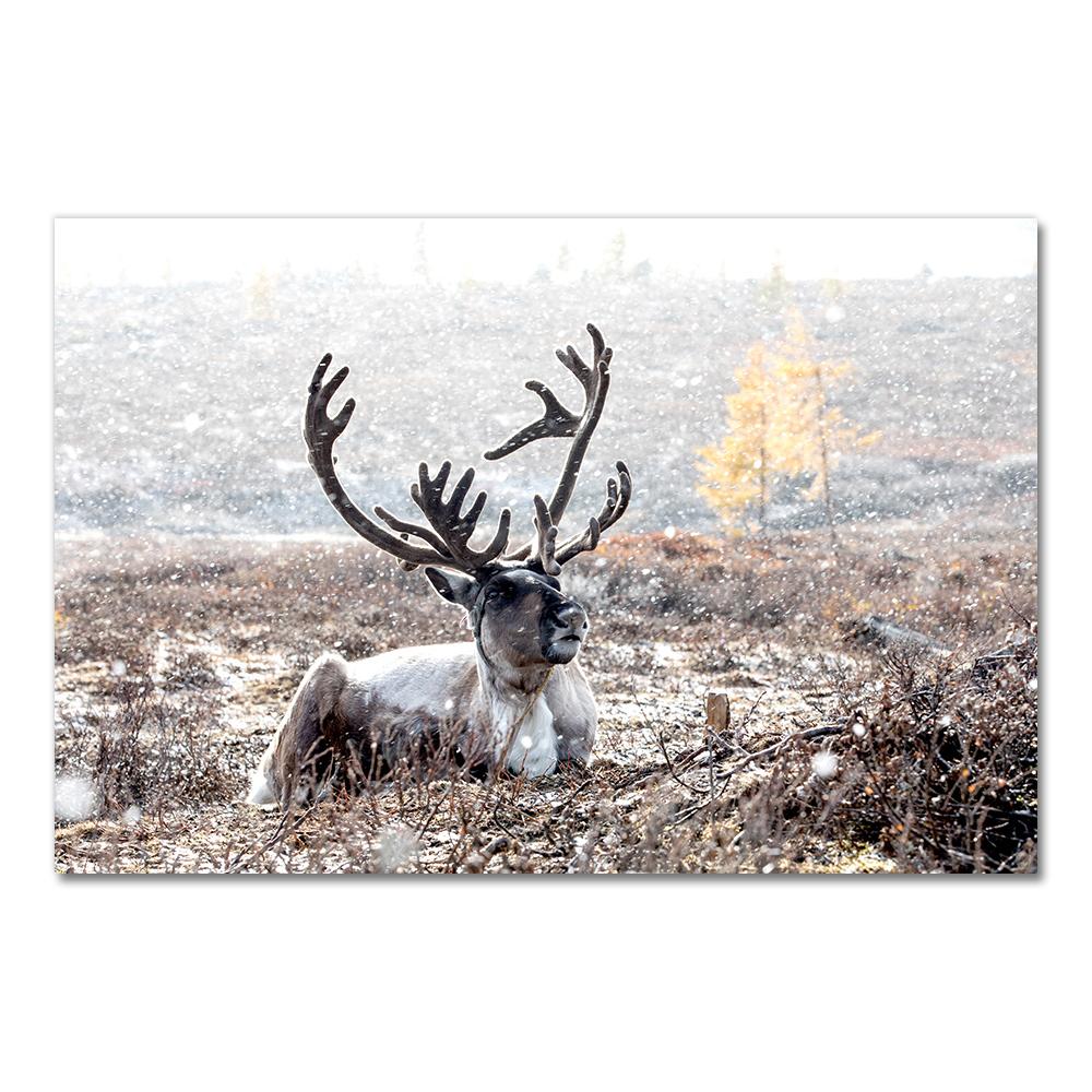 Scandinavian Nature Winter Landscape Poster Print Mountain Forest Canvas Painting Deer Wall Art Picture Nordic Style Home Decor