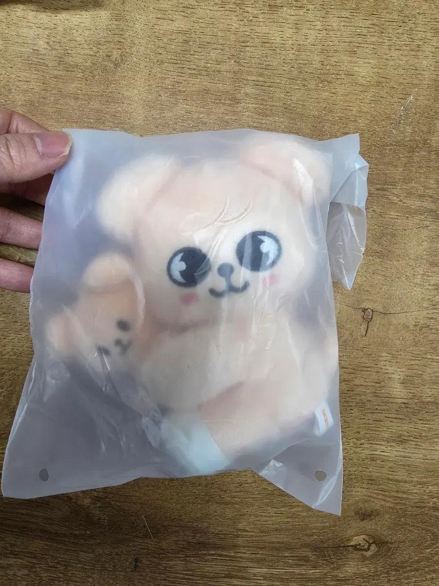 

STRAY KIDS [Unopened] Skidz Skige Magnet Flash Set