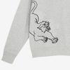 Puma Comfortable Pullover Crewneck Sweatshirt Men Sweatshirt Gray 625532-04