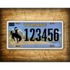 Custom Tin Sign Personalized Retro Metal Poster Wall Art Home Decor