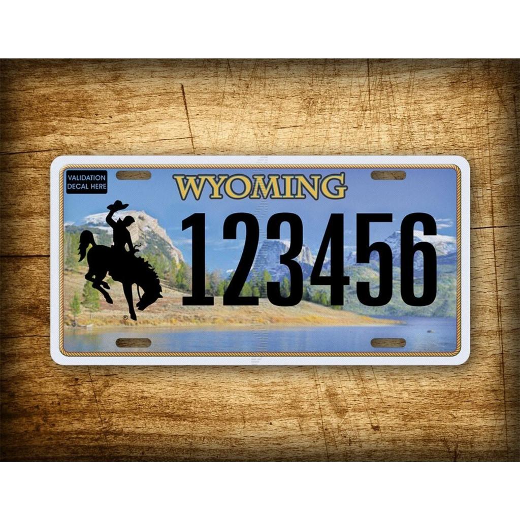 Custom Tin Sign Personalized Retro Metal Poster Wall Art Home Decor